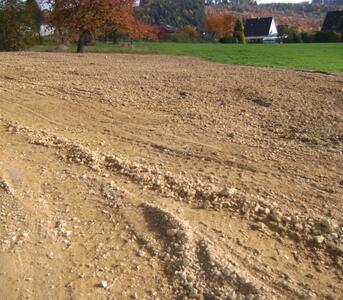 Gro&szlig;es Bild anzeigen