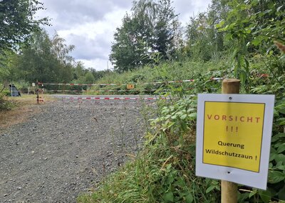 Gro&szlig;es Bild anzeigen