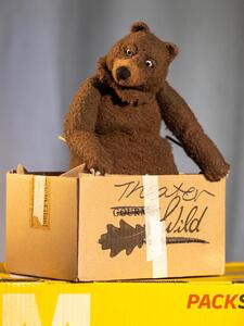 Gro&szlig;es Bild anzeigen